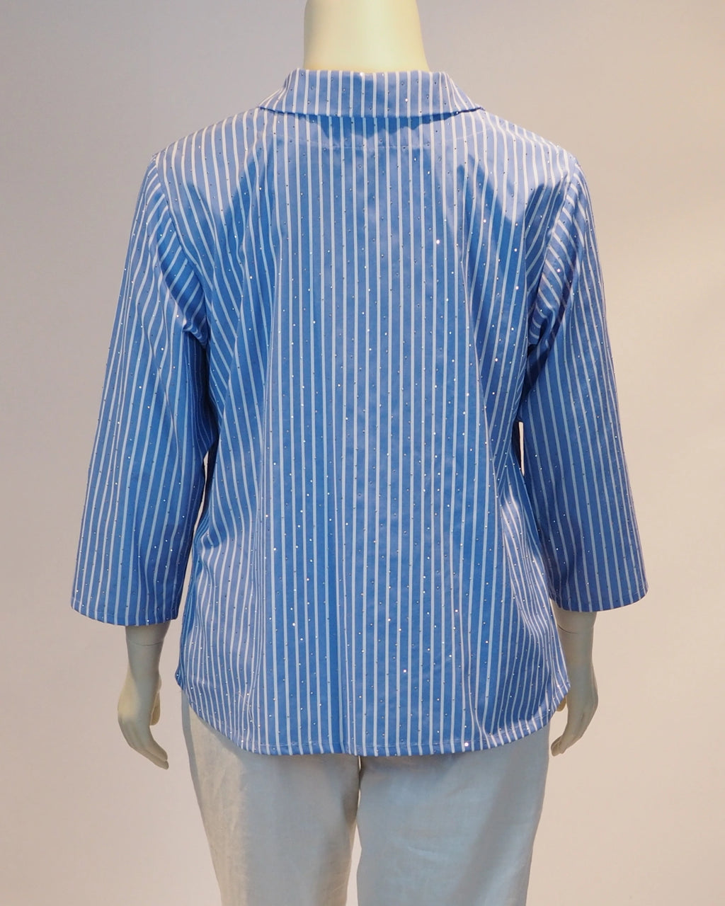 Blauweisse Plus-Size-Bluse Valentina von Katrin Kiesler Berlin, Rückansicht